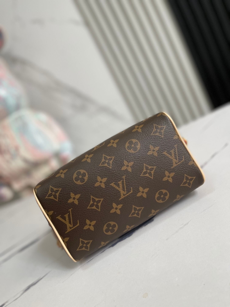 LV Speedy Bags